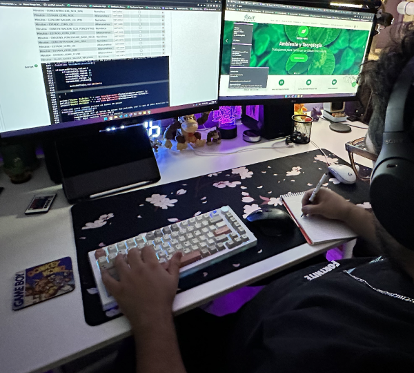 Desarrollo y soporte de plataformas de datos